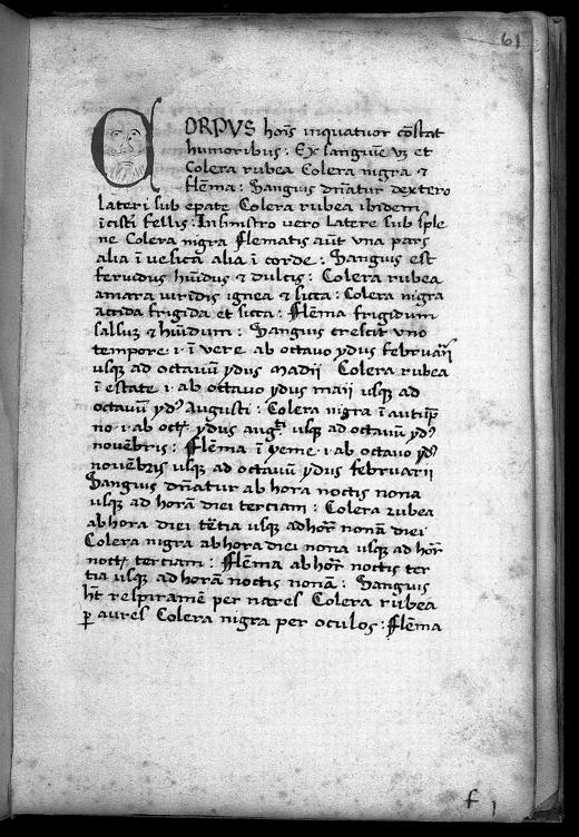 Een bladzijde uit De viribus herbarum van Macer Floridus, een kruidengedicht dat in middeleeuwse kloosters veel werd overgeschreven.